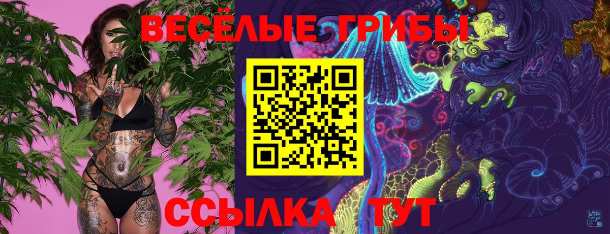 Галлюциногенные грибы прущие грибы  Вход с VPN  Зеленодольск  Галлюциногенные грибы Magic Shrooms 